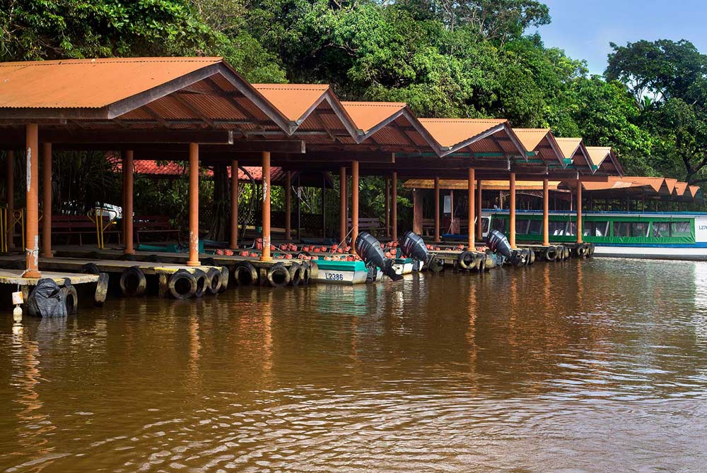 caribe_norte_pachira_lodge_1